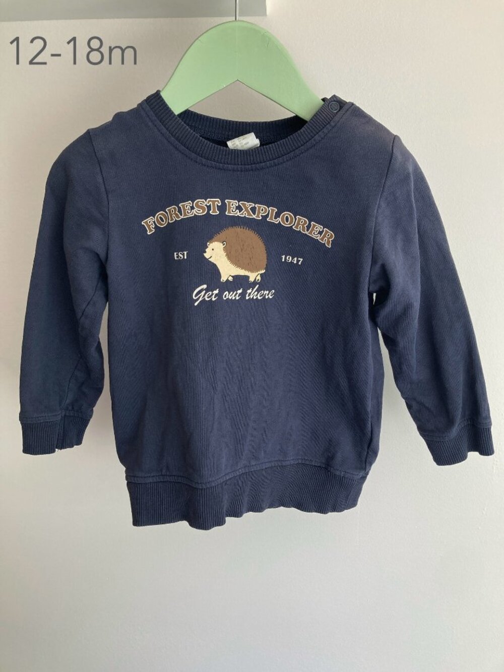 🪴5/$30 H&M 12-18 Months Toddler Baby Blue Hedgehog Crewneck Sweatshirt Fall